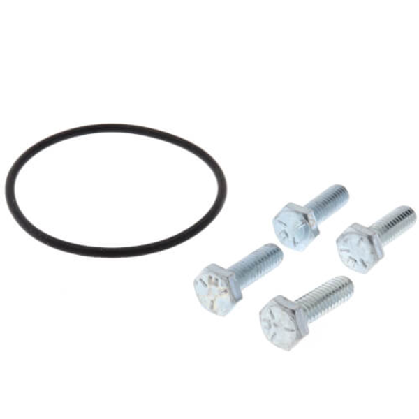 Taco 0012-006RP Replacement Casing O-Ring (for 0012BF/F) Side View