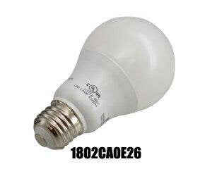 Walk-In Coolers & Freezers Lamp
