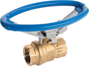 RuB s.92 2" FIPxFIP Full Port 2-way ball valve with blue oval lockable handle