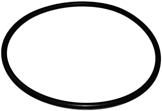 O-ring for the Big Blue Housing