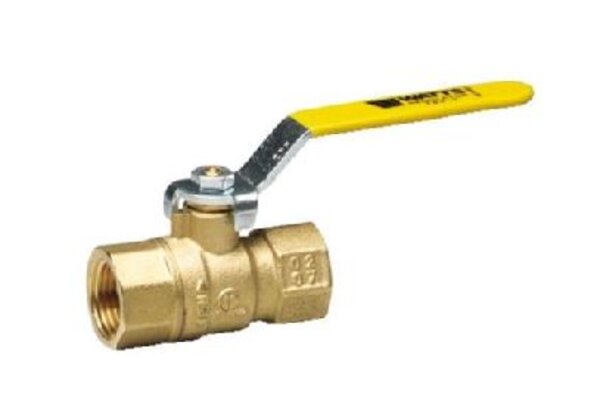 Watts 547103 2-piece Full Port Ball Valve 3/4 FBV-3C Side View