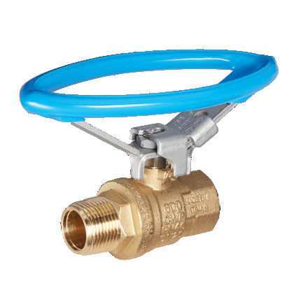 Full Port 2-way ball valve with blue oval lockable handle