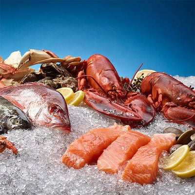 Hoshizaki Ice Cube Render