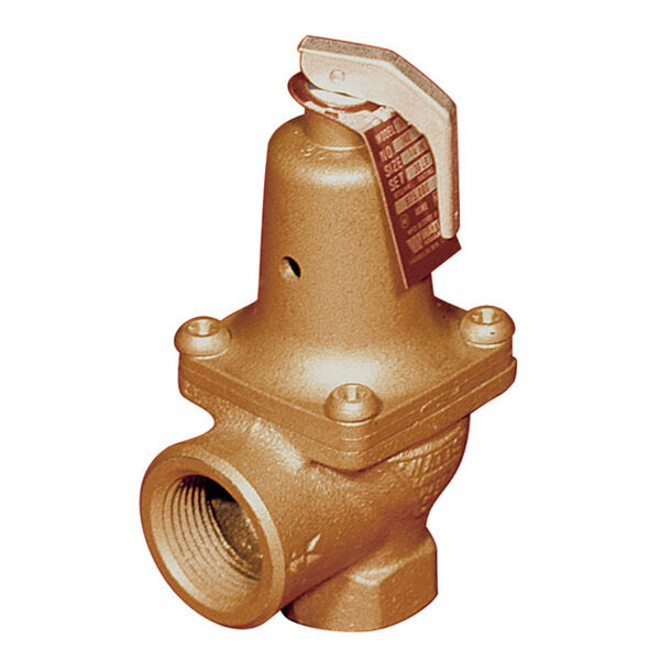 Watts 274934 1" Bronze Boiler Pressure Relief Valve 30 PSI For Protection of Hot Water Heating Boilers Side View